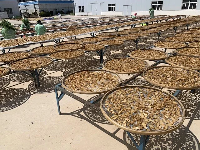 Food preparation in the sunshine at Xiaoli Drying Field